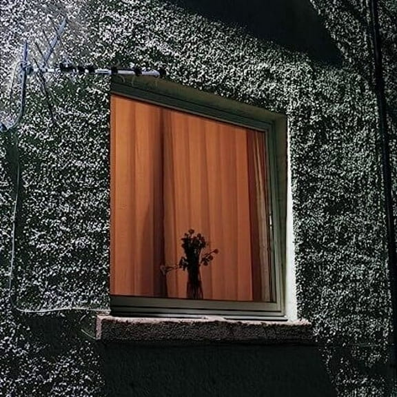 Wyldest - Monthly Friend - Music & Performance - Vinyl