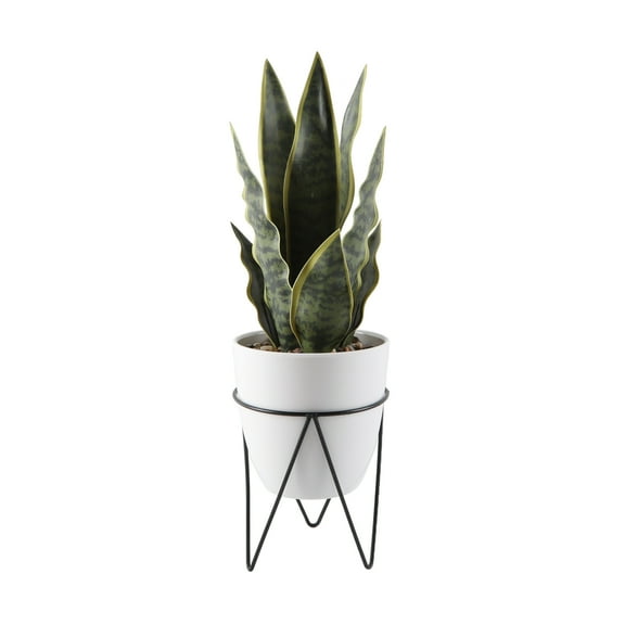 15.25" Artificial Snake Plant in 4.75" White Cement Pot in Black Metal Stand