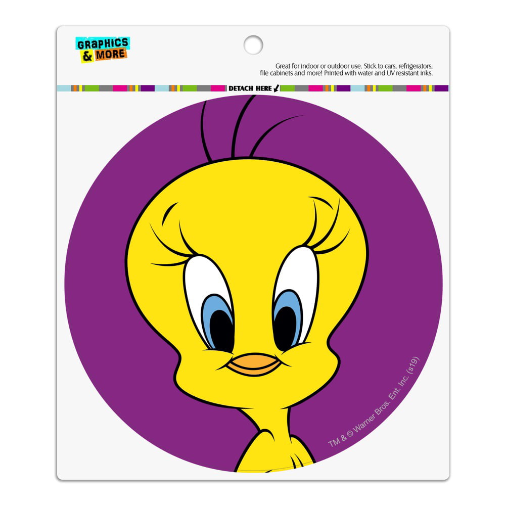 Looney Tunes Photo Quality Magnet Tweety Bird & Sylvester 
