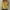 Yellow, variant on Clearance! Yajing Women's Pullover Sweaters Loose Ladies Sweater Spring and Autumn One Word Shoulder Exposed Shoulder Hood Jacket Sweater Pullover Sweaters for Women Green L