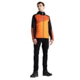 thumbnail image 5 of Dare 2B Mens Touring Contrast Panel Hybrid Jacket, 5 of 5