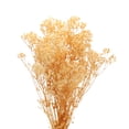 thumbnail image 3 of Secas bebés Aliento Flores 17 Pulgadas Blanco Natural bebés Aliento Ramas para Boda Fiesta Casa Decoración 1uds, 3 of 6