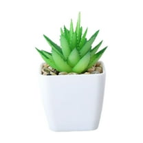 Sunxin Simulated Succulent Plant Small Potted Plant Fplants Artificial Potted Faux Plant in Square White Pots for Home Bathroom Desk Shelf Decor
