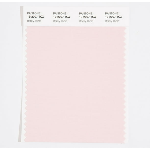 Pantone Cotton Swatch 13-2007 Barely There - Walmart.com