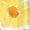 Yellow, variant on Women's Yellow Floral Boxy Fit Ruffled Short Sleeve V Neck Blouse - [ZhiHiMeRi] | (US 12-14)L