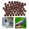 thumbnail image 4 of Qualitchoice 100Pcs 2022 Aluminium Dove Racing Pigeon Foot Rings Supplies Plastic Bands 8mm Brown, 4 of 8