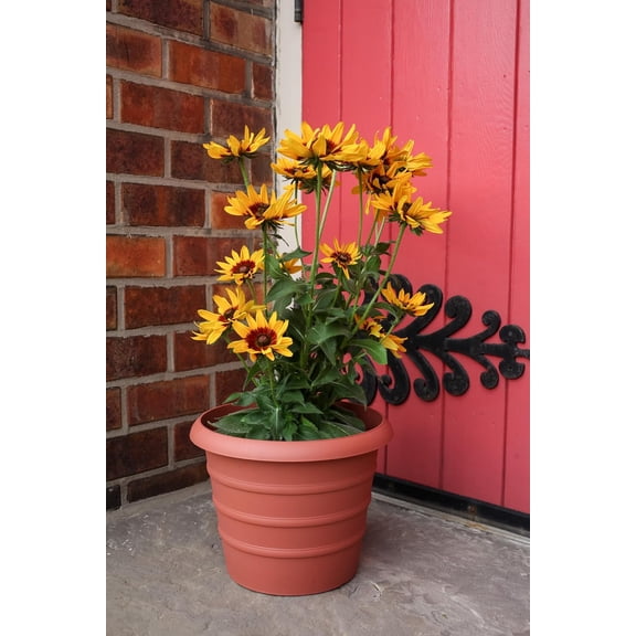 20 Inch Marina Planter Lightweight Indoor Outdoor Plastic Plant Pot for Herbs and Flowers, Chocolate (Pack of 2)