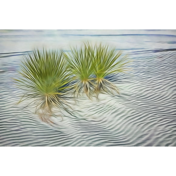 USA, New Mexico, White Sands National Monument. Abstract of agaves in white gypsum sand.  Poster Print by Jaynes Gallery (18 x 24)