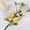 Yellow, variant on Live at Home, Lemon Branch 25.98"