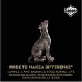 thumbnail image 4 of Combo Diamond Puppy Super Premium 9.07 Kg MAS Dos Latas Royal Canin Adulto 385 gr, 4 of 6