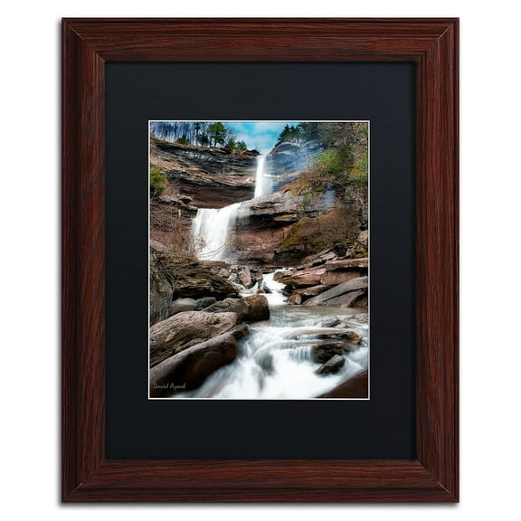 Trademark Fine Art "Katerskill Fall" Canvas Art by David Ayash Black Matte, Wood Frame