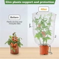 thumbnail image 4 of Adjustable Detachable Tomato Cage, Tomato Plant Support Cages Trellis Garden Sticks/Stakes for Garden, 4 of 5
