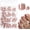 Toenails-Coffee Base, variant on 240 count Tips Press Toenails Women Press ons, Coffee Press Nails Toenails Glue ons Toenail Tip False Press- Nails with Glue Tab