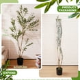thumbnail image 5 of NOICOI Large Artificial Olive Tree 72" Tall Faux Silk Plant Natural Wood Trunk Indoor Office Home Decor, 5 of 6