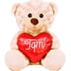 thumbnail image 1 of PELUCHERIA - Oso Ozark Peluche 30 cm Osito Love Heart TQM, 1 of 5