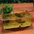 thumbnail image 3 of Turtle breeding tank water and land with sun drying platform small desktop, 3 of 7