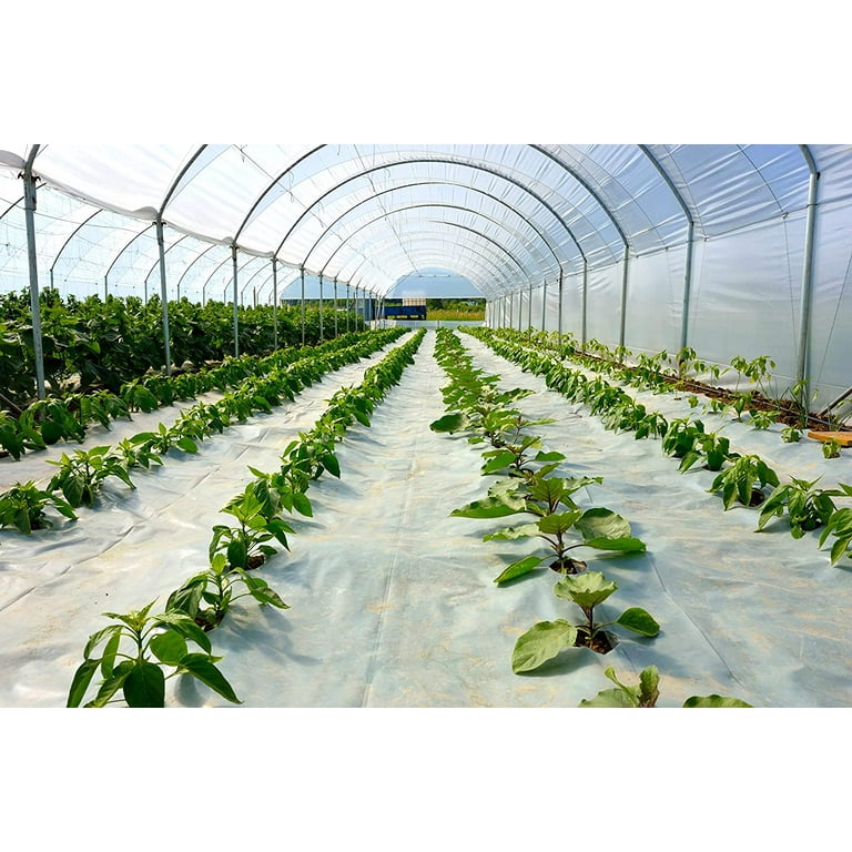 Greenhouse Plastic Film Clear Polyethylene Cover UV Resistant, 12 ft Wide x 25 ft Long