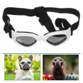 thumbnail image 1 of unbranded Gafas Plegables Para Perros Con Protección Solar Y Ajuste Cómodo Para Pequeñas, 1 of 8
