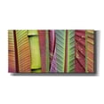 thumbnail image 1 of Epic Graffiti 'Green and Red Leaf Collage' by Cora Niele, Canvas Wall Art, 40"x20", 1 of 8
