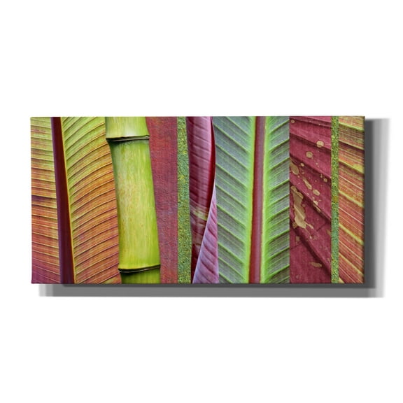 Epic Graffiti 'Green and Red Leaf Collage' by Cora Niele, Canvas Wall Art, 40"x20"