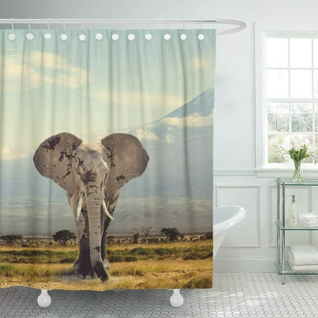 WOPOP Tanzania Elephant on Kilimanjaro Mountain National Park of Kenya Africa Mount Safari Polyester Shower Curtain Bathroom Decor 66x72 (Best Safari Parks In Africa)