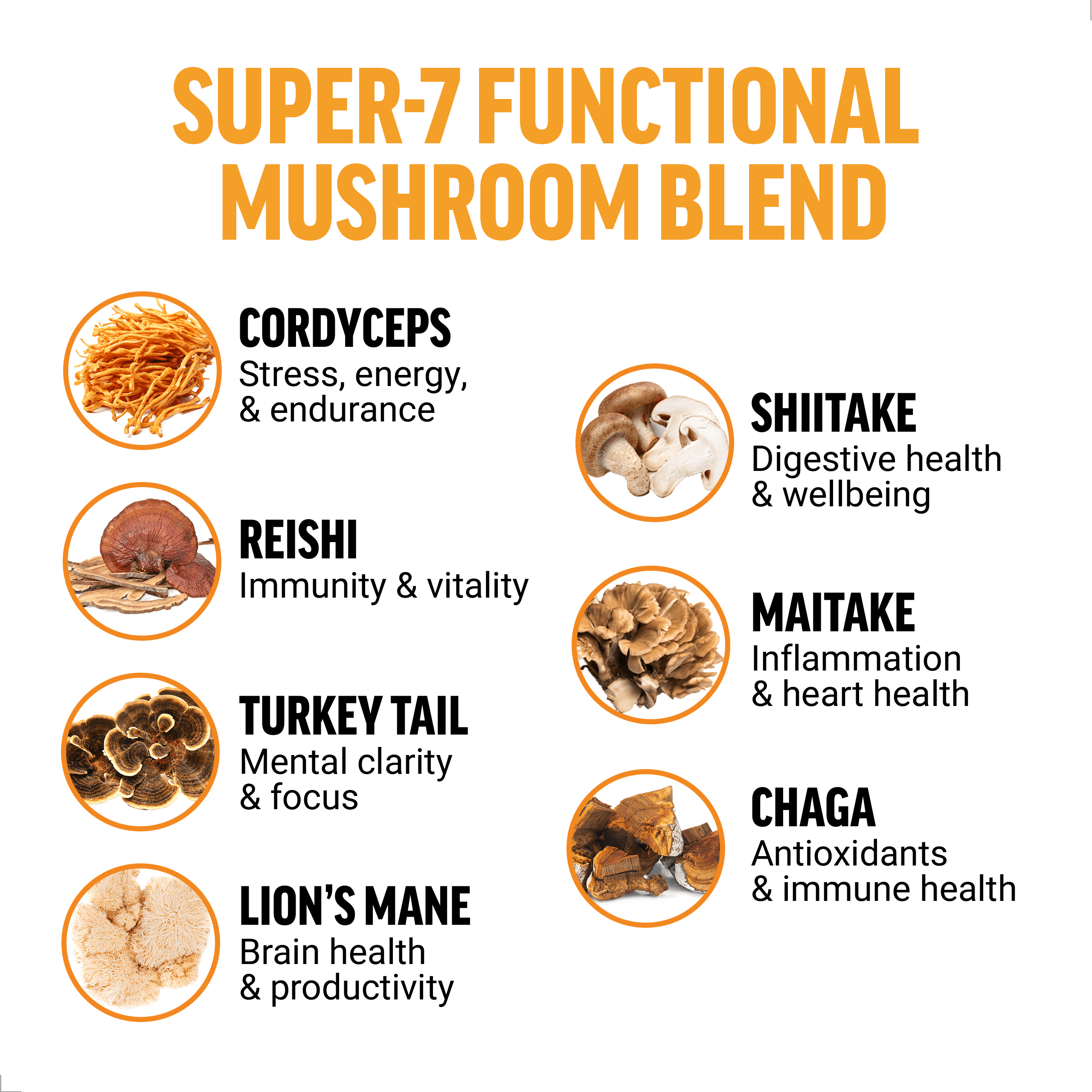 (3 pack) Force Factor Modern Mushrooms, Mushroom Supplement with Lion’s Mane, Cordyceps & Reishi for Energy, Focus, Immune Health, Unflavored, 30 Servings