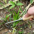thumbnail image 5 of Désherbeur de Jardin en Acier Inoxydable, Creuser, Transplanter, Désherbage avec Manche en Bois, Fourche de Désherbage, 5 of 5