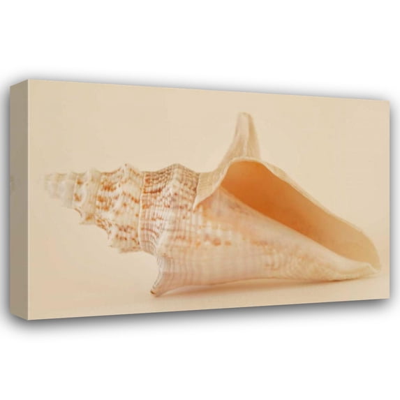 Karyn Millet 18x13 Gallery Wrapped Canvas Wall Art Titled - Ocean Treasures IX