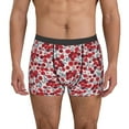 thumbnail image 2 of Bingfone Red Hawthorn Men's Underwear - Casual Stretch Boxer Briefs-Large, 2 of 7