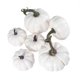 thumbnail image 1 of 6pcs Artificial Pumpkins Realistic Mini Pumpkin for DIY Craft Halloween Fall Harvest Thanksgiving Party Decoration, 1 of 3