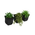 thumbnail image 3 of Mayne Valencia 7" x 7" x 8" Square Self Watering Black Plastic Wall Mount Planter, 3-Pack, 3 of 17