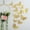 Golden, variant on Monebena Butterfly Decorations, 72 Pcs 3 Sizes Butterfly Wall Decor, Butterfly Party Cake Decorations, Gold Butterfly Wall Stickers 3D Wall Art for Room Decor Birthday (Gold)