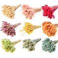thumbnail image 4 of Coofit Dry Flower Branch DIY 24PCS Simple Natural Dried Grass Stem Dry Grass Decor, 4 of 8