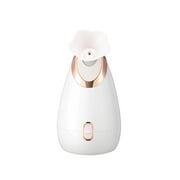 Jianama Face Steamer Hot Spray Machine Home Beauty Instrument
