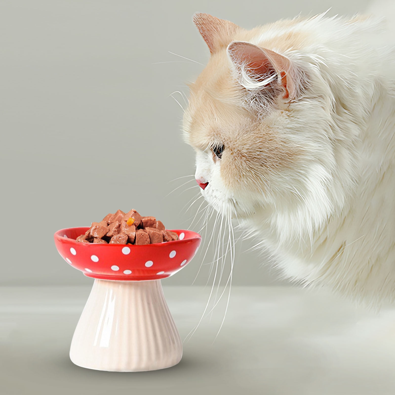 Cat food in a bowl sales
