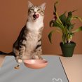 thumbnail image 5 of MXTPOV Dog Cat Food Mat, Absorbent No Stains, Quick Dry, Pet Supplies, Water Dispenser Mat for Messy Drinkers, 23.6*15.7in, 5 of 5