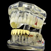 14K Gold Plated Grillz Lower Bottom Plain Teeth Grills