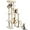 Beige, variant on SAEWUD 63-Inch Multi-Level Cat Tree Tower for Indoor Cats, Tall Cat Furniture with Scratching Posts, Cozy Condo & Perches, Activity Center for Kittens and Adult Cats -Green