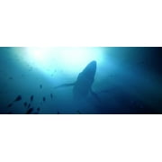 Under the Waves - PlayStation 5