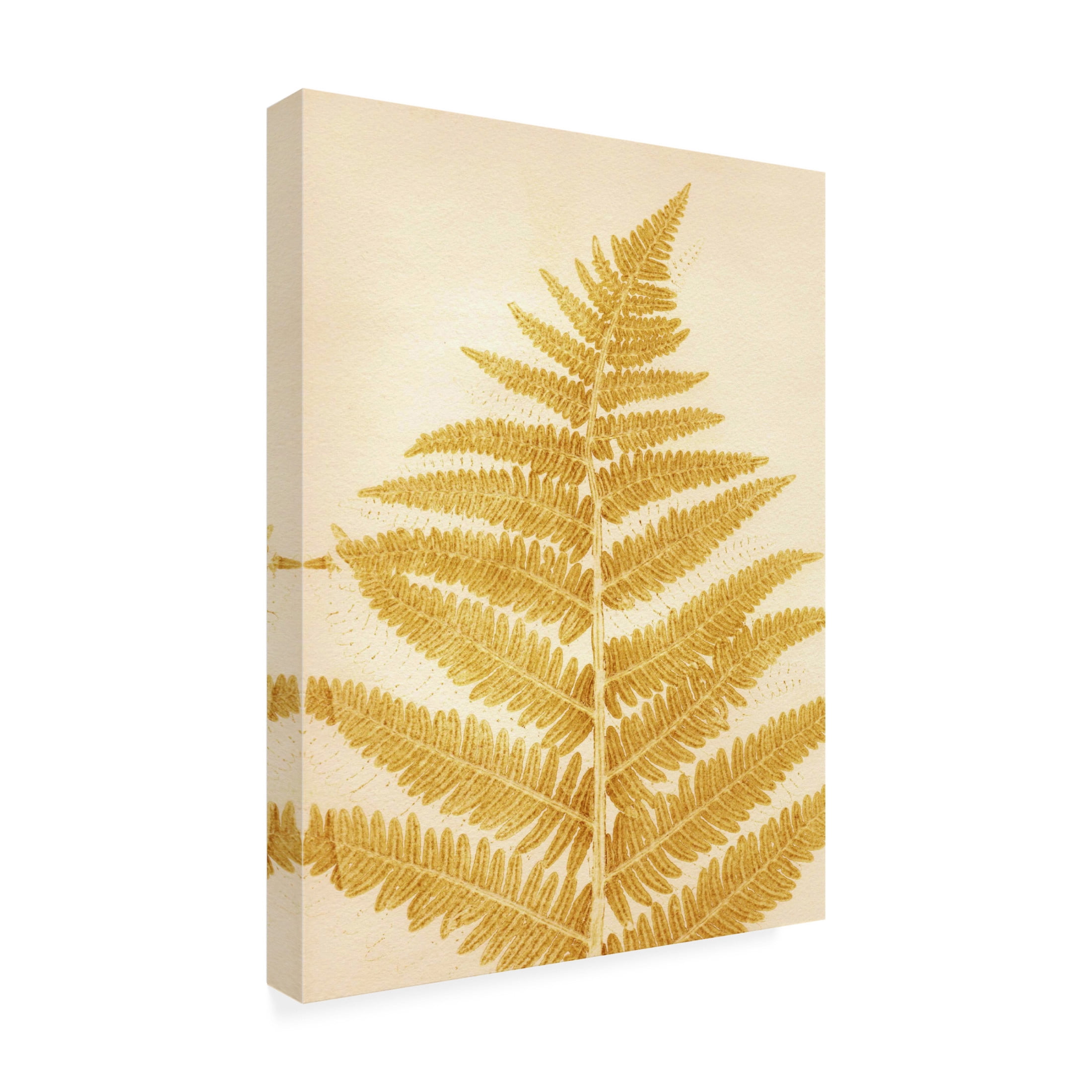 Canvas Wall Art - Pernille Folcarelli 'Fern Mustard' Wall Art for Living Room, Bedroom, or Office Décor by Trademark Fine Art - 35 x 47 Inches