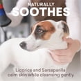 thumbnail image 6 of Just Nutritive 2-in-1 Shampoo & Conditioner for Dogs and Puppies, Gentle Natural Pet Care, 16oz, 6 of 8