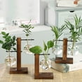 thumbnail image 3 of Plant Terrarium with Wooden Stand,Air Planter Bulb Glass Vase Metal Swivel Holder Retro Tabletop for Hydroponics Home Garden Office Decoration, 3 of 5