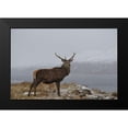 thumbnail image 2 of Uhlig, Dieter 24x17 Black Modern Framed Museum Art Print Titled - Proud, 2 of 5