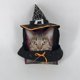 thumbnail image 2 of Disfraz de Bruja Accesorios Morados Disfraces de Halloween Sombrero de Cappy Disfraz de Gato Disfraz de Perro Morado Sombrero de Perro Sombrero de Halloween para Perros Halloween para Mascotas, 2 of 4