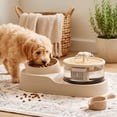 thumbnail image 4 of Cat Food Bowl and Water Fountain Set, 2 in 1 for Cats Dogs _ #07 _ Yellow _ B, 4 of 6