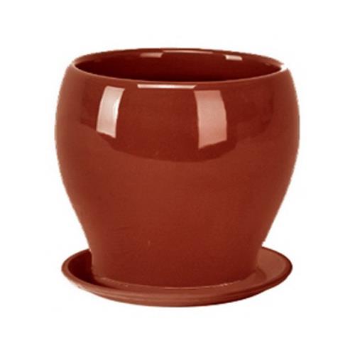 Deroma 6 Packs 6.5" Coral RND Planter by Deroma