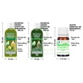 thumbnail image 4 of Bergamota Care + Romero Mix 4X 500 VIVONATURAL. 2 Shampoos Aceite de Bergamota 500 ml + Shampoo Aceite de Romero 500 ml + Aceite Esencial de Bergamota 10 ml, 4 of 5