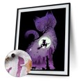 thumbnail image 3 of Cuadros Decorativos Bruja gato negro pintura al óleo por números Kit DIY pintura acrílica lienzo sin marco Wdftyju embutido en tela, 3 of 9