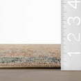 thumbnail image 2 of nuLOOM Triselle Traditional Bordered Washable Area Rug, 4' x 6', Triselle Peach, 2 of 7