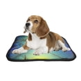 thumbnail image 2 of PKQWTM beautiful landscape lone swan on the lake Pet Dog Cat Bed Pee Pads Mat Cushion Potty Dogs Blankets Crate Bed Kennel 20x24 inch, 2 of 3